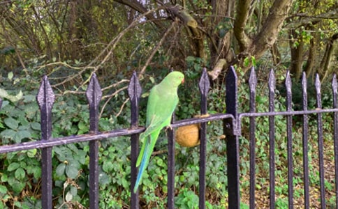 �W�^���Č���[15ƪ]