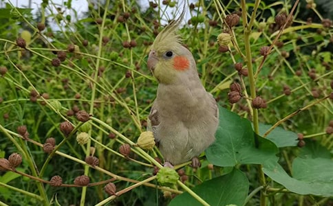 �W�^���ģ���(sh��)��15ƪ��