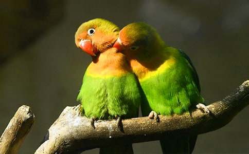 ����(j��ng)�䣩�Ҽҵ��W�^����