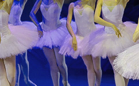 芭蕾舞劇《睡美人》觀后感(精選10篇)