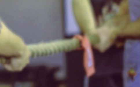 拔河比賽作文450字(精選29篇)