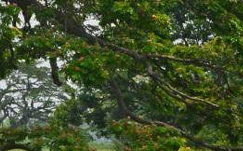 ���ח�ڶ��n�r�̌W(xu��)�O(sh��)Ӌ6