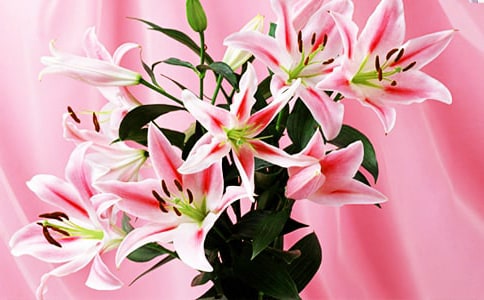 �茑�ٺϻ�������400��