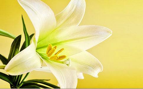 �ٺϻ�����