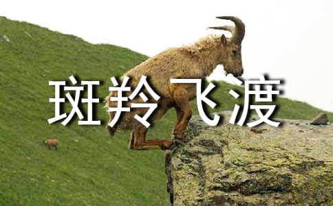 斑羚飛渡讀書筆記(15篇)