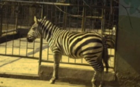 ���R���ϵ��Ї��x���