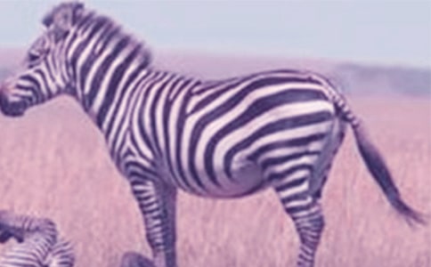 ���ڰ��R������