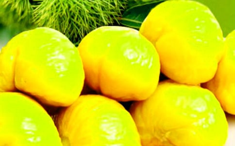 板栗作文500字(精)