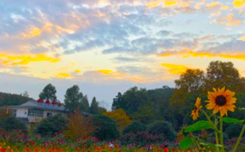 ����İ�������400��