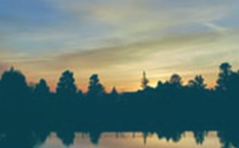 �茑��������ľ���