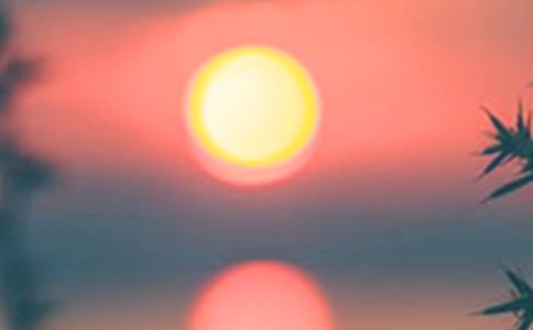 描寫傍晚的優(yōu)美句子