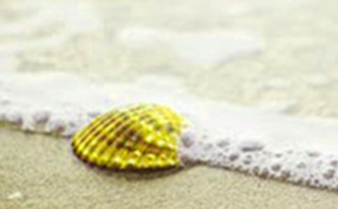 大班科學(xué)優(yōu)秀教案《各種各樣的貝殼》