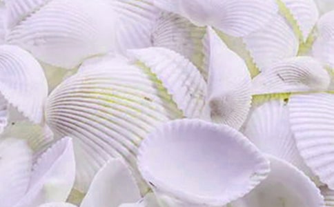 中班美術(shù)欣賞教案《貝殼孔雀》