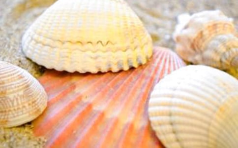 ؐ��Ԓ�}���ľ��x