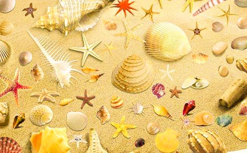 ������g(sh��)��ʵ�ؐ���̰�