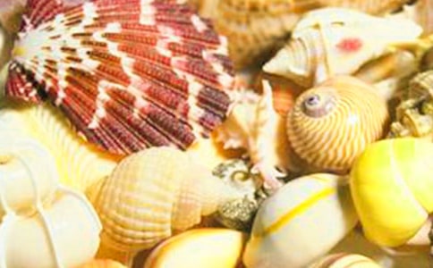 ��ؐ��������