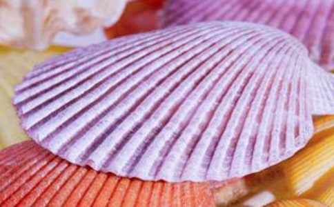 那黯然失色的貝殼敘事作文