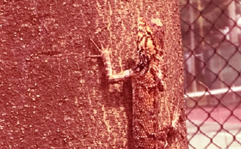 �ڻ�����500���\��9ƪ