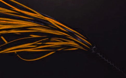 母親的鞭子小學(xué)生作文(通用20篇)