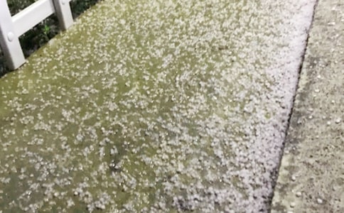 �±�������