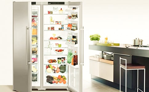 關(guān)于冰箱說明文作文300字集合5篇