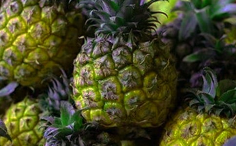 ���l(xi��ng)�Ĳ��}����