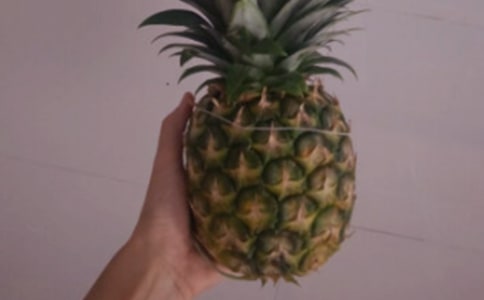 《菠蘿》美術(shù)教案