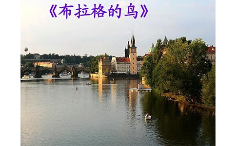 ����������B���x���Pӛ