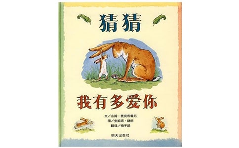 《猜猜我有多愛(ài)你》優(yōu)秀教案(精選21篇)