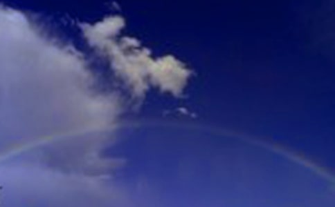 關(guān)于彩虹的作文(15篇)