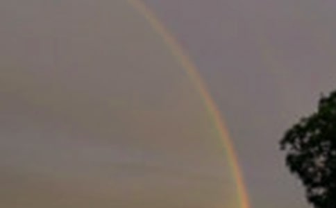 С�����g(sh��)���ʺ�̰�