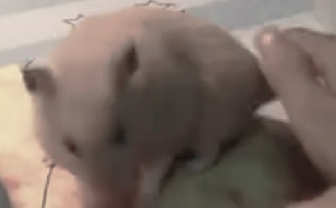 ��(sh��)�õĂ}(c��ng)������300��6ƪ