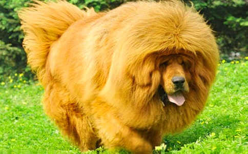 ��������400��7ƪ