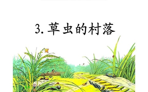 《草蟲的村落》小練筆-螞蟻作文