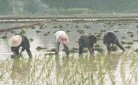 ����������(y��u)��̌W��˼