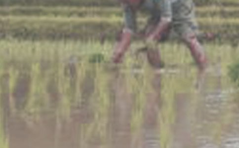 ˮ���C�����l(f��)չ�����Ă�ԭ��