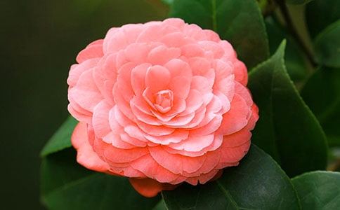 �軨����ӛ