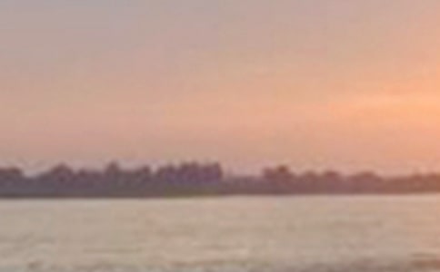 �P(gu��n)���L(zh��ng)���Č�(d��o)���~