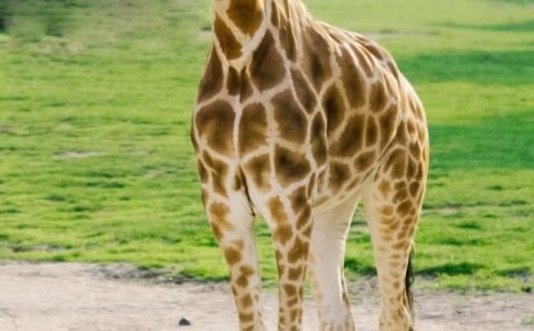 ������g���L�i¹���̰���ͨ��15ƪ��