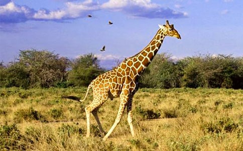 ������g(sh��)�L�i¹�̰�10ƪ