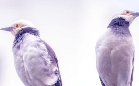 爸爸媽媽吵架了作文200字(通用20篇)