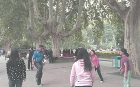 �P�ڳ���������