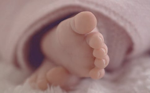 大班科學(xué)優(yōu)質(zhì)課教案及教學(xué)反思《出生的秘密》