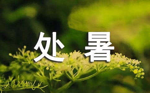 處暑節(jié)氣作文750字