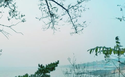 春風(fēng)拂面作文