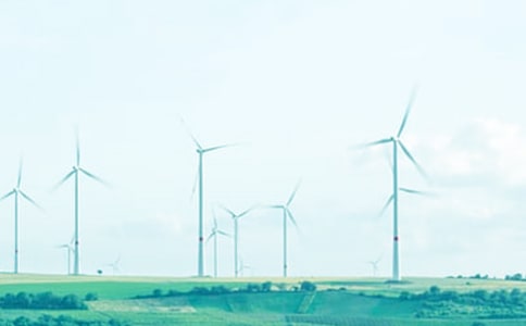 心隨春風(fēng)綠的優(yōu)美散文