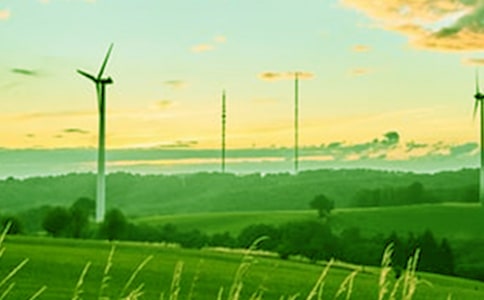 春風(fēng)來了作文