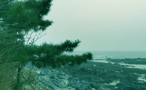 關(guān)于春風(fēng)作文集合(9篇)