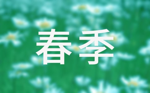 小學(xué)春季教學(xué)工作計(jì)劃11篇