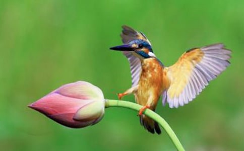 �˽����n�����꼉�ԡ����B����(y��u)��̰��OӋ